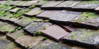 Yattendon roof repair costs